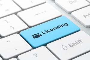 License Protection Services